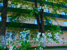 Фотогалерея