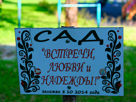 Фотогалерея